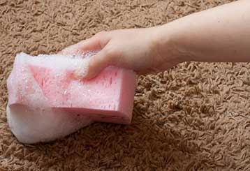 How to Prevent Carpet Stains | Carpet Cleaning Moorpark CA