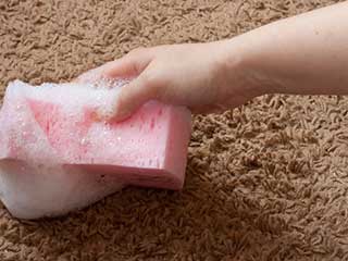 How to Prevent Carpet Stains | Carpet Cleaning Moorpark CA